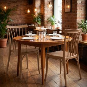 Set of Two Tan and Natural Heavy Duty Plastic Slat Back Dining Side Chairs